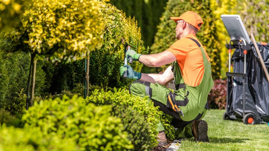 2021 Is The Best Time For Landscaping Learn Why