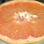 Grapefruit Citrus Trees Cape Coral - Hirado Buntan 2