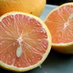Lemon Citrus Trees Cape Coral - Variegated Pink 2