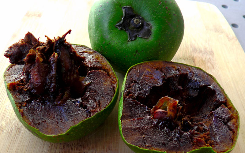 black sapote Tropical Fruit Trees in Cape Coral