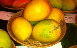 mango fruit tree cape coral dot-mango