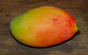 pickering-mango-fruit-tree