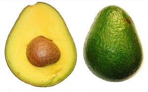 simmonds-avocado-fruit-tree