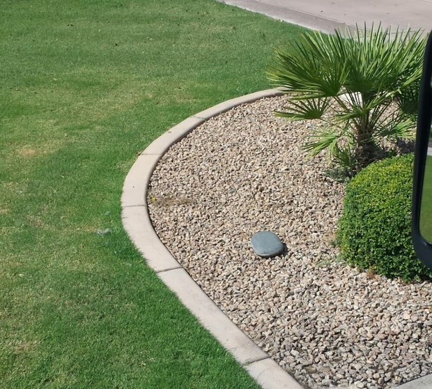 Cape Coral Landscaping Near Me