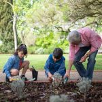learn gardening with kids