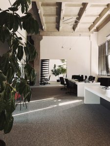 keep plants near working area productivity